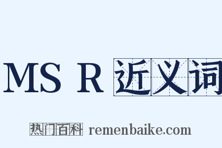 MSR近义词是什么意思的图片